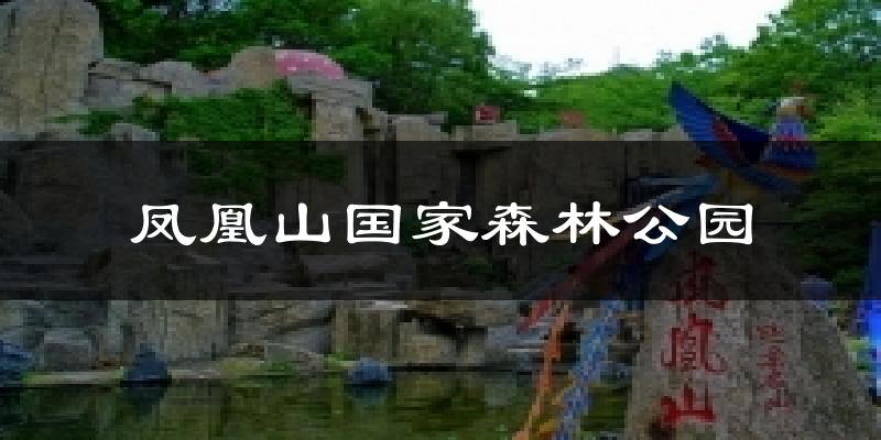 凤凰山国家森林公园天气预报十五天