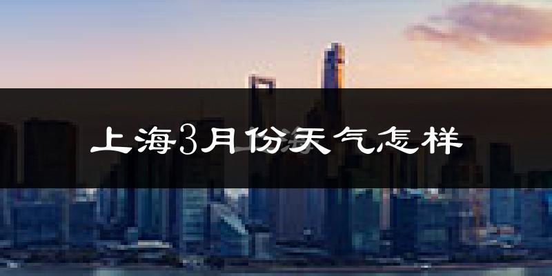 上海3月份天气如何?冷吗?过去两年天气数据分析