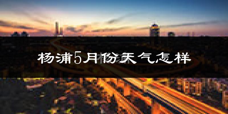 杨浦5月份天气怎样?杨浦五月冷吗?