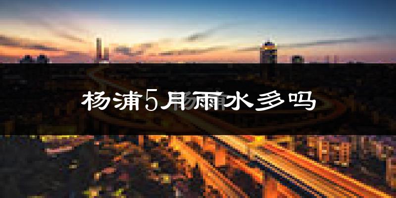 杨浦5月雨水多吗?