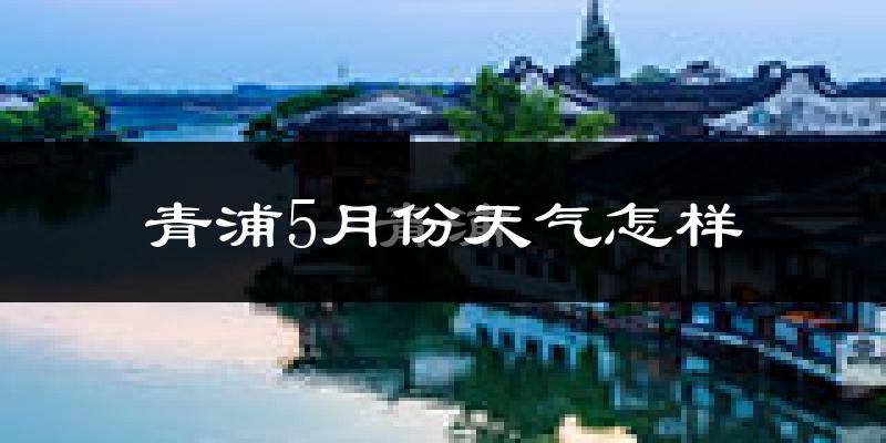 青浦5月份天气怎样?青浦五月冷不冷?