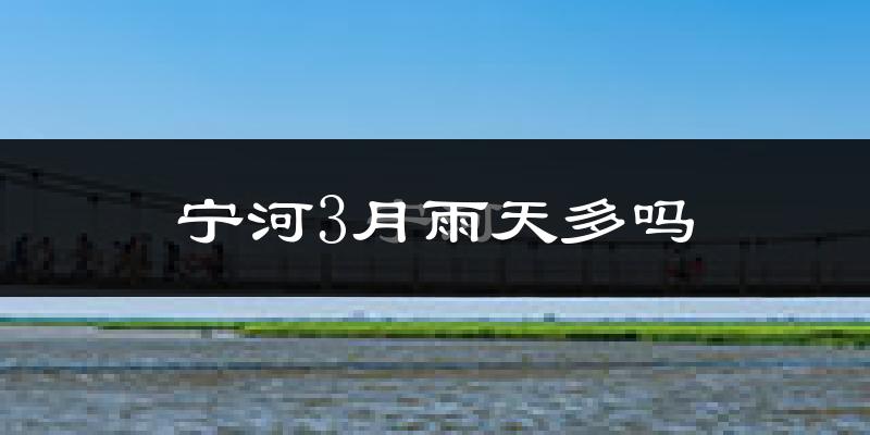 宁河3月雨天多吗?