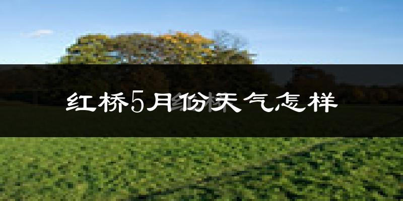 红桥5月份天气怎样?红桥五月冷不冷?