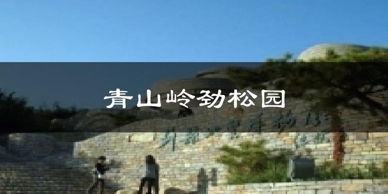 青山岭劲松园天气预报十五天