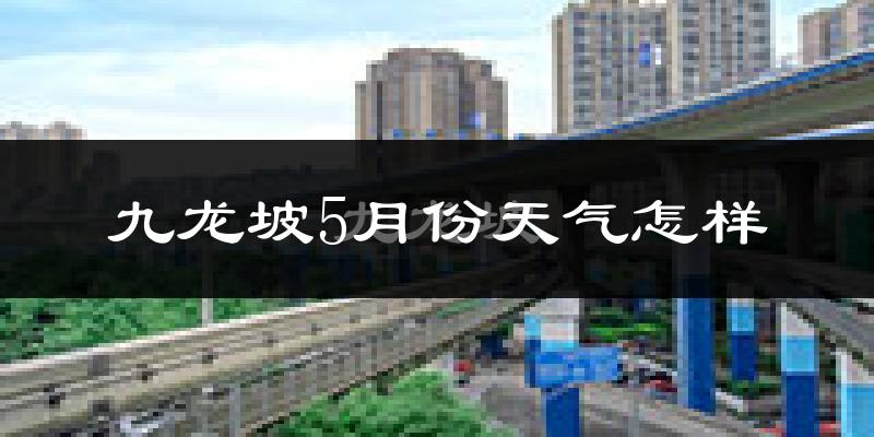 九龙坡5月份天气怎样?九龙坡五月冷吗?