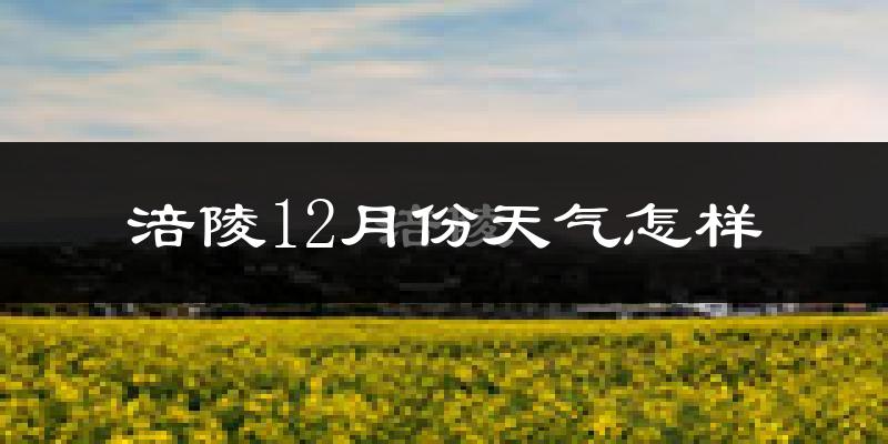 涪陵12月份天气怎样?涪陵十二月冷吗?