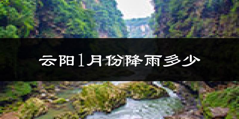 云阳1月份降雨多少?