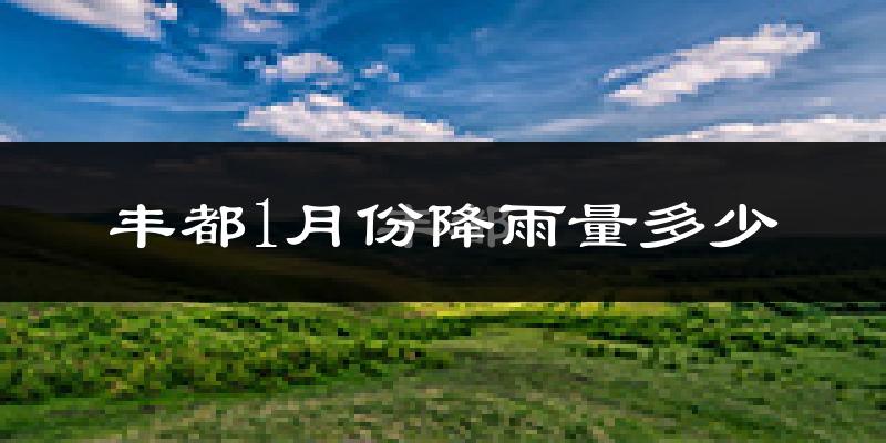 丰都1月份降雨量多少?丰都一月下雨多吗?