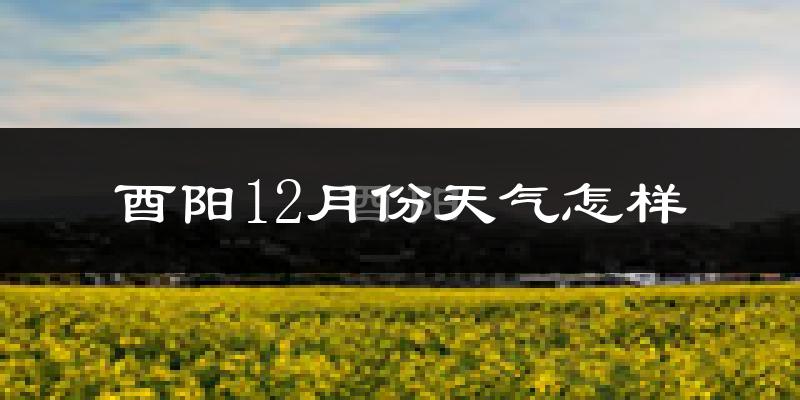 酉阳12月份天气怎样?酉阳十二月冷吗?