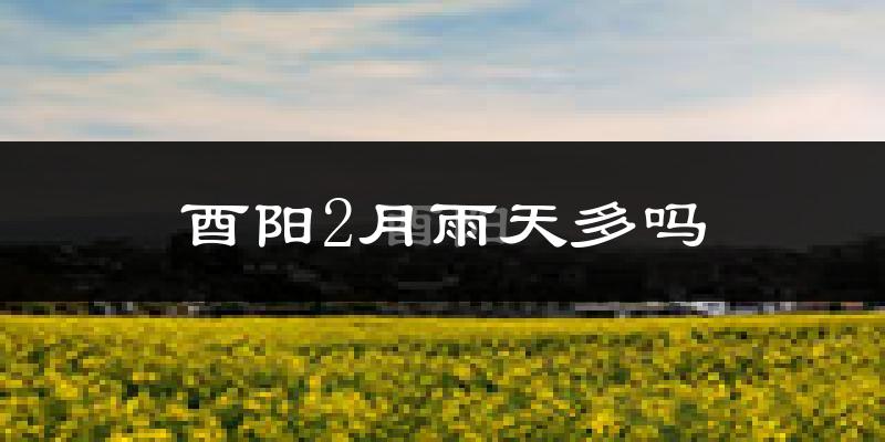 酉阳2月雨天多吗?