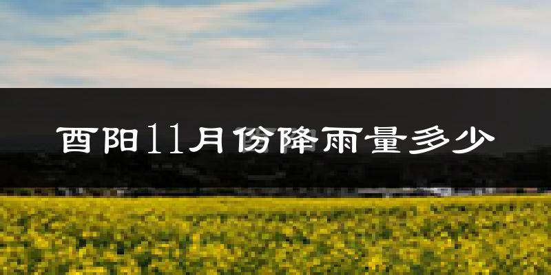 酉阳11月份降雨量多少?酉阳十一月下雨多吗?