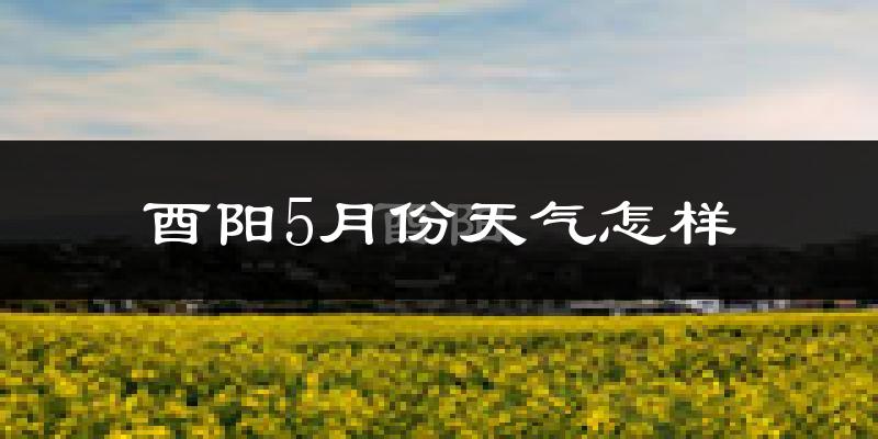 酉阳5月天气如何?很热吗?历史数据告诉你答案