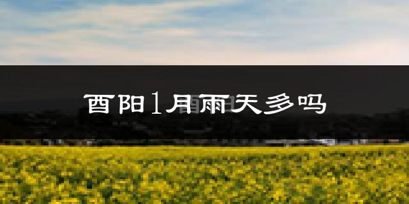 酉阳1月雨天多吗?