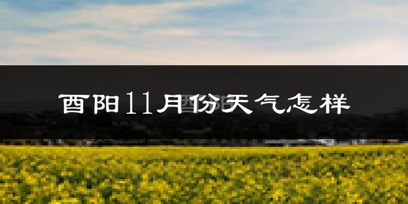 酉阳11月份天气怎样?酉阳十一月冷吗?