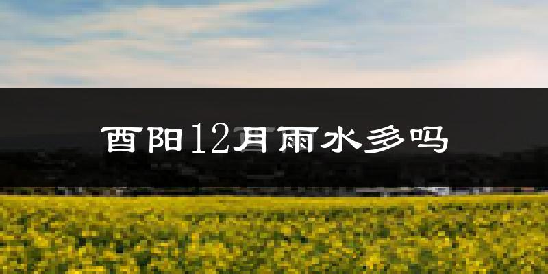 酉阳12月雨水多吗?