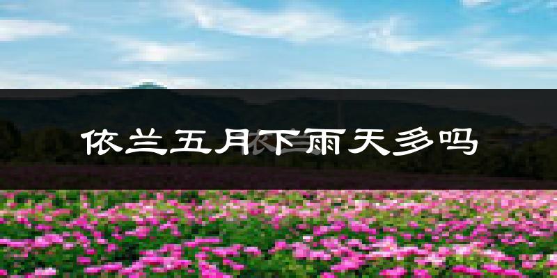 依兰五月下雨天多吗?依兰5月份降雨量多少?