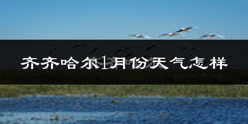 齐齐哈尔市1月份天气如何?很冷吗?