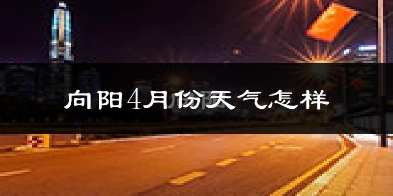 向阳4月份天气怎样?向阳四月冷不冷?