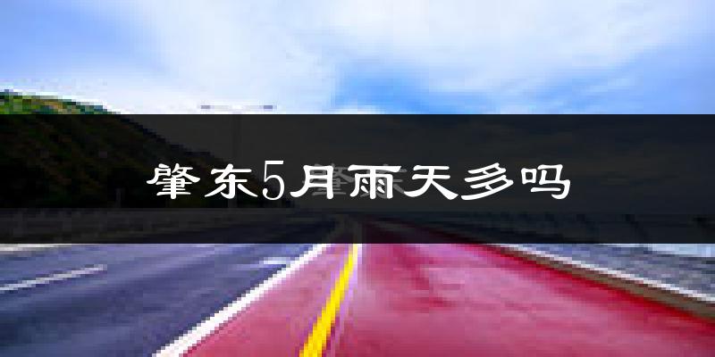 肇东5月雨天多吗?