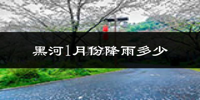 黑河1月份降雨多少?