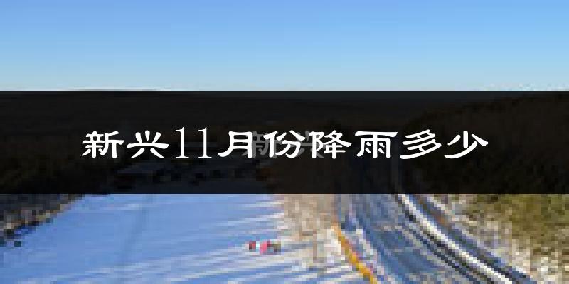 新兴11月份降雨多少?