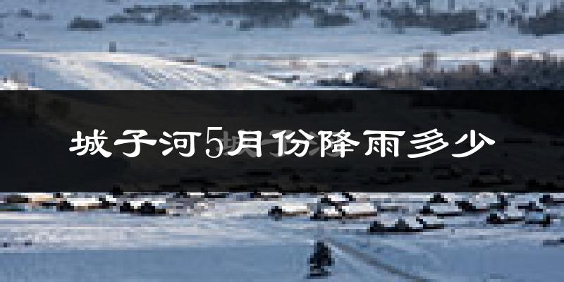 城子河5月份降雨多少?