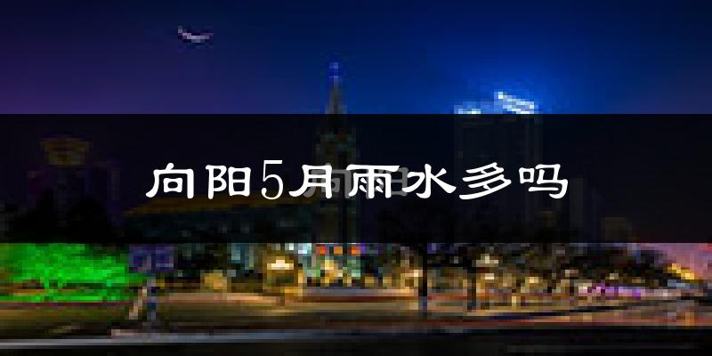 向阳5月雨水多吗?