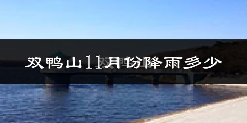 双鸭山11月份降雨多少?