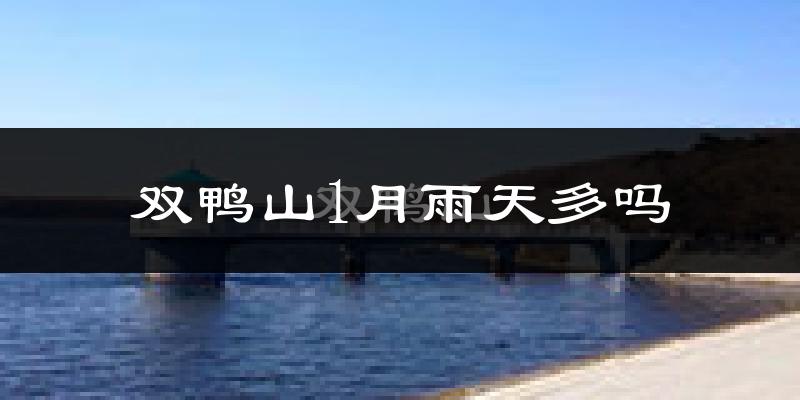 双鸭山1月雨天多吗?