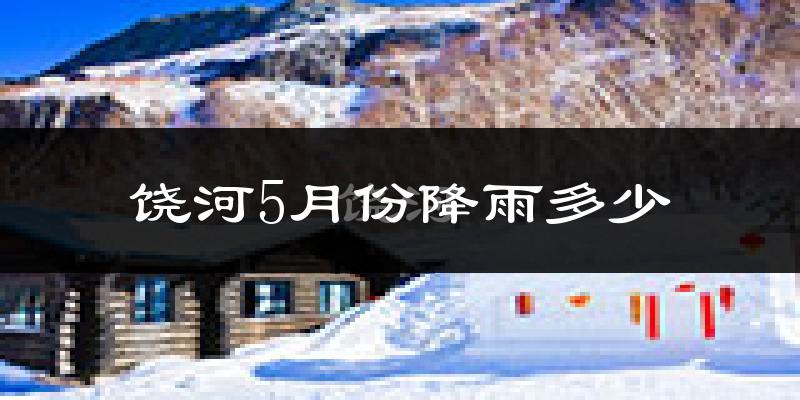饶河5月份降雨多少?