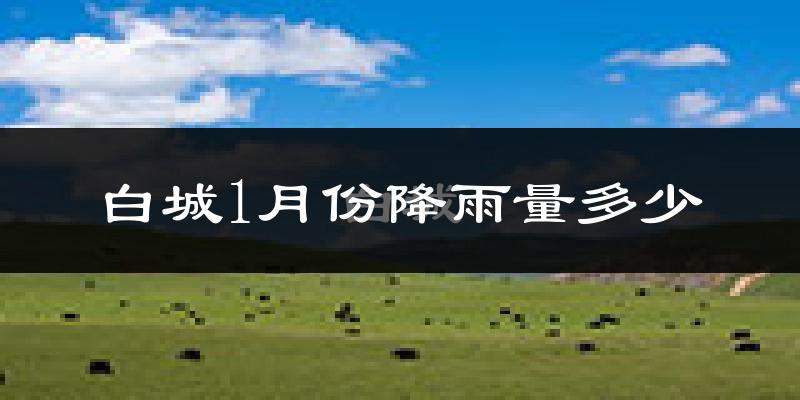 白城1月份降雨量多少?白城一月下雨多吗?