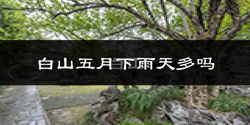 白山五月下雨天多吗?白山5月份降雨量多少?