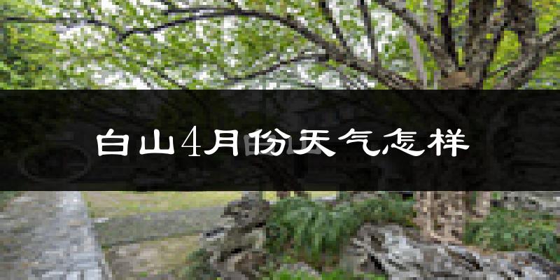 白山市4月份天气如何?冷吗?