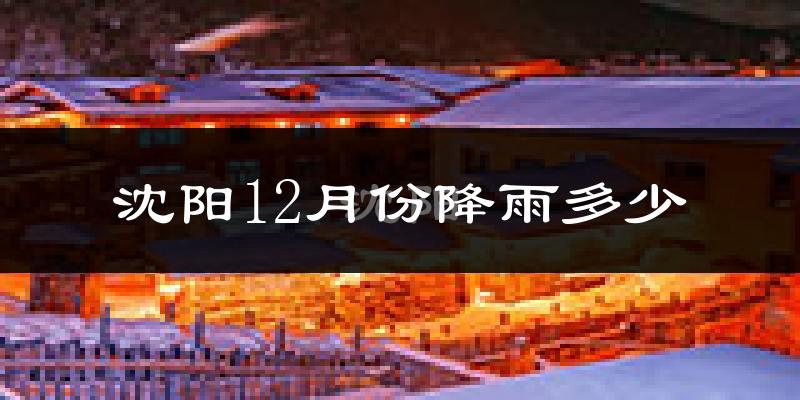 沈阳12月份降雨多少?