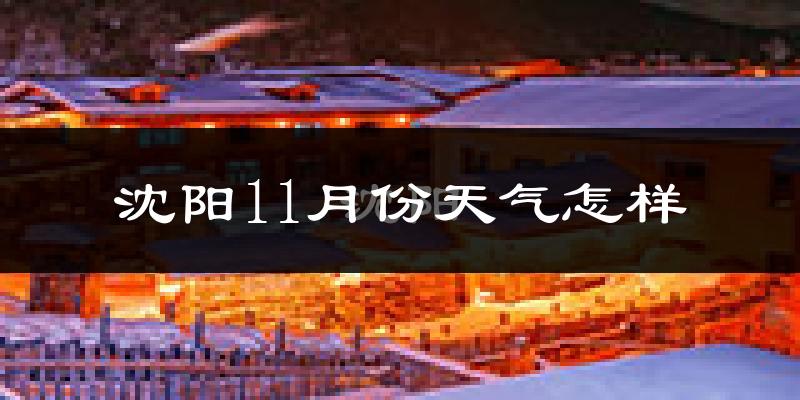 沈阳11月份天气怎样?沈阳十一月冷不冷?