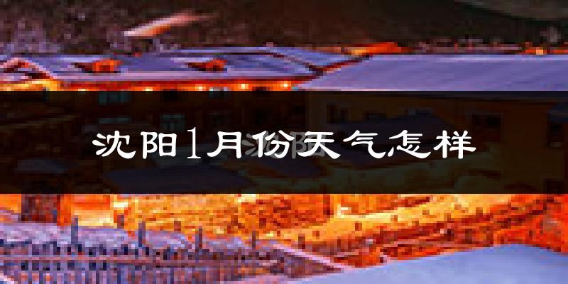 沈阳1月份天气如何?很冷吗?