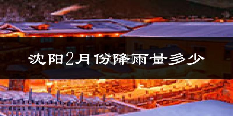 沈阳2月份降雨量多少?沈阳二月下雨多吗?