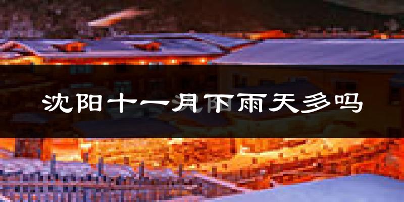沈阳十一月下雨天多吗?沈阳11月份降雨量多少?