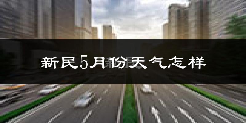 新民市5月份天气如何?很热吗?