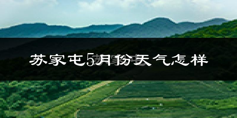 苏家屯5月份天气怎样?苏家屯五月冷吗?