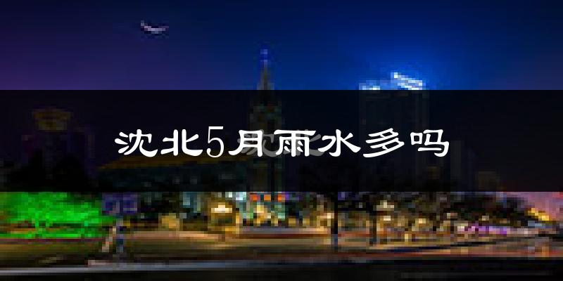 沈北5月雨水多吗?