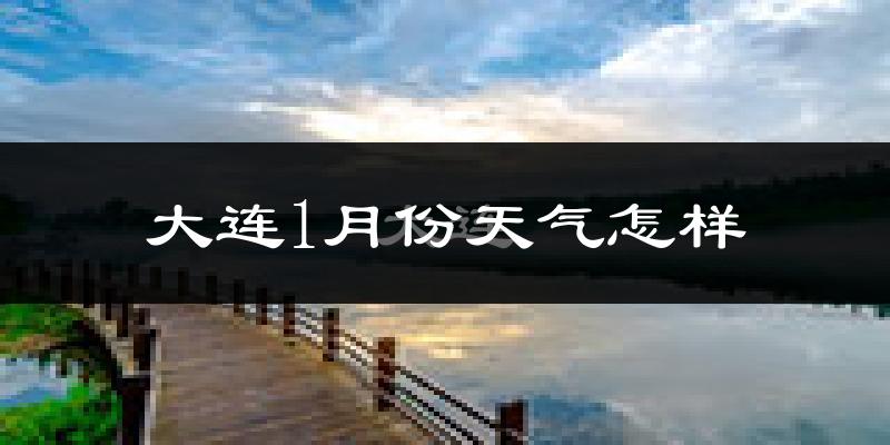 大连市1月份天气如何?很冷吗?