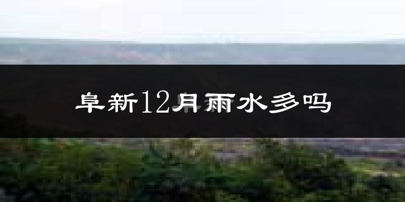 阜新12月雨水多吗?