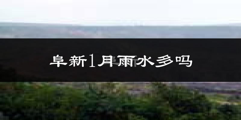 阜新1月雨水多吗?