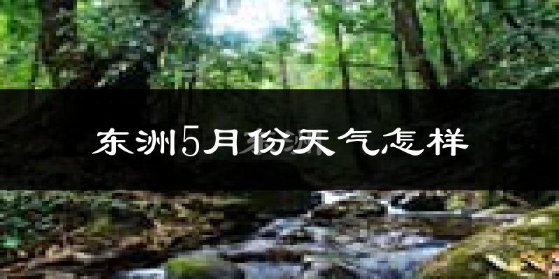 东洲5月份天气怎样?东洲五月冷不冷?
