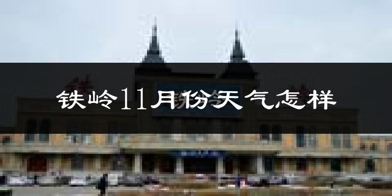铁岭11月份天气怎样?铁岭十一月冷吗?