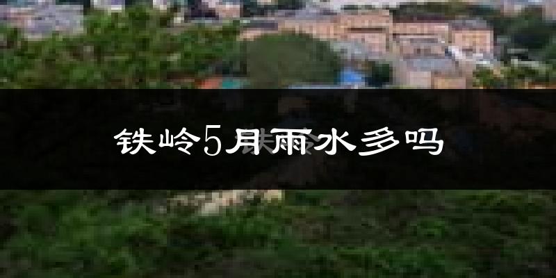 铁岭5月雨水多吗?