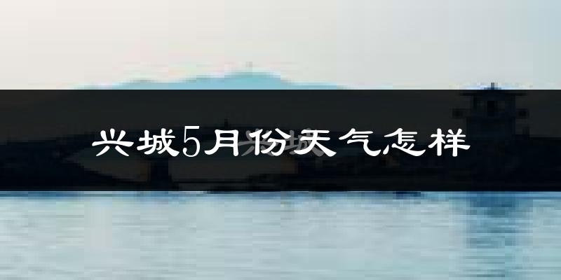 兴城市5月天气如何?很热吗?