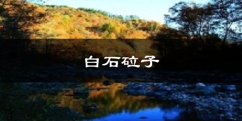 白石砬子天气预报十五天
