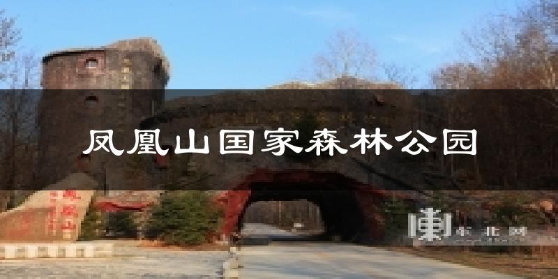 凤凰山国家森林公园天气预报十五天